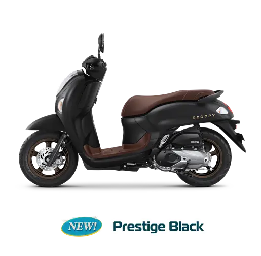 Honda Scoopy 9